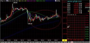 上海今日哈密瓜价格走势,今日行情解析