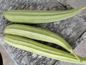 今日份吃瓜有什么梗,盘点娱乐圈新鲜热辣的吃瓜瞬间