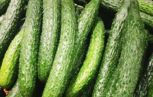 广东今日茄瓜批发价,行情波动，价格走势分析”