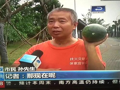 24近期热门吃瓜事件,近期娱乐圈风云变幻大揭秘