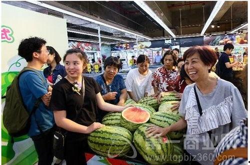今日头条砂瓜产业发展,今日头条聚焦绿色农业发展