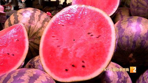 云南麒麟瓜今日价格行情,价格波动，市场动态一览