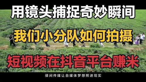 今日摘瓜小分队文案图片,瓜果飘香，欢乐满园