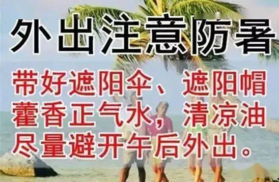 今日摘瓜小分队文案图片,瓜果飘香，欢乐满园