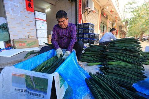 今日瓜菜市场价,新鲜瓜果价格一览，市民选购指南”