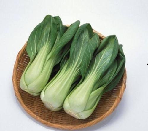 保亭瓜菜价格今日价,保亭瓜菜今日价格行情一览