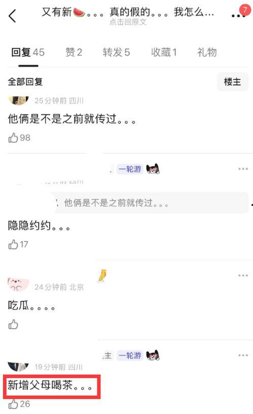 韩林府吃瓜爆料聊天记录带视频,吃瓜聊天记录与视频曝光，真相大白！