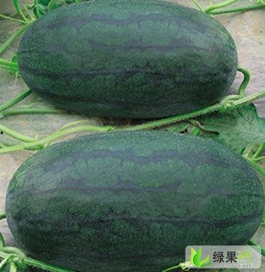 51cg热门大瓜黑料大瓜,揭秘娱乐圈黑料背后的真相