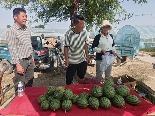 中牟小吊瓜西瓜今日价,价格实惠抢购正当时！