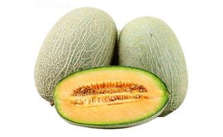 今日分享哈密瓜的文案,哈密瓜新鲜上市，尽享瓜香四溢！