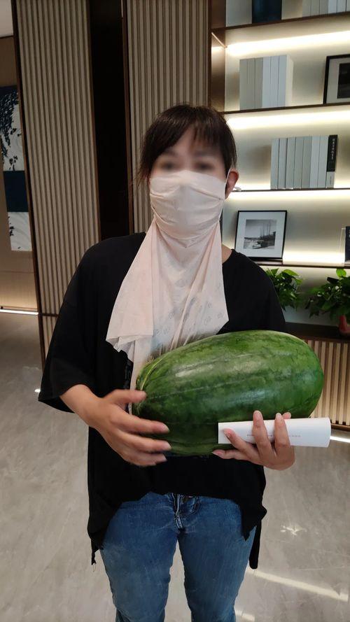 51cg10今日大瓜,揭秘娱乐圈最新热点事件