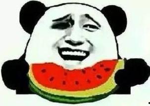 吃瓜群众看热门,热门事件背后的真相与观点