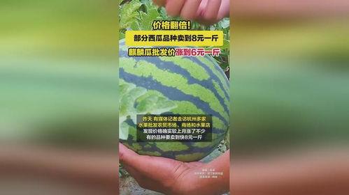 湖南今日麒麟瓜批发价,品质优价廉备受青睐