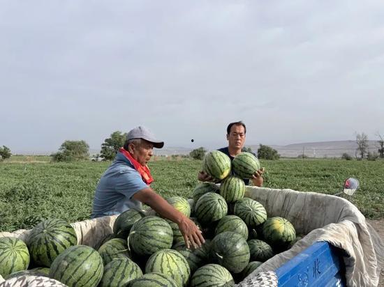 23年热门吃瓜事件,2023年度娱乐圈最热吃瓜事件大盘点