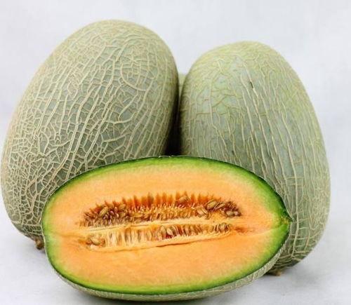吃哈密瓜会黑便吗,哈密瓜摄入与黑便现象关联探讨