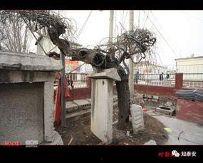 今日肥城王瓜店镇房价,宜居小镇房产投资新热点