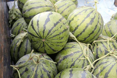 暗黑吃瓜今日热门,揭秘今日热门事件背后的真相与争议