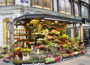 今日吃瓜51唐山花店,探寻花艺之美，共赴浪漫之约