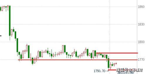 小瓜今日行情分析最新,洞察市场脉搏，把握投资新动向