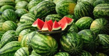 近期热门吃瓜事件 河北,揭秘近期热门吃瓜事件背后的真相