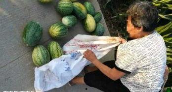 近期热门吃瓜事件 河北,揭秘近期热门吃瓜事件背后的真相