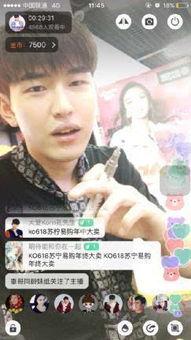 明星网红新款手机,新款手机引领潮流新风尚