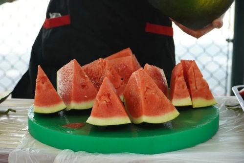 热门航空吃瓜,揭秘热门航班背后的吃瓜故事