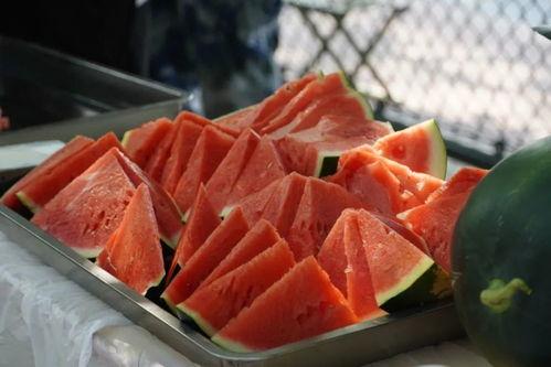 热门航空吃瓜,揭秘热门航班背后的吃瓜故事