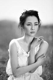 江苏省明星网红,明星网红的璀璨星光