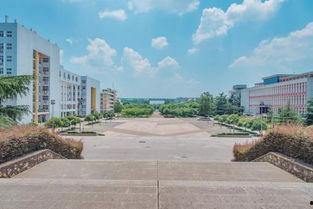 长清大学热门大瓜,揭秘校园热门大瓜背后的真相