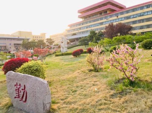 长清大学热门大瓜,揭秘校园热门大瓜背后的真相