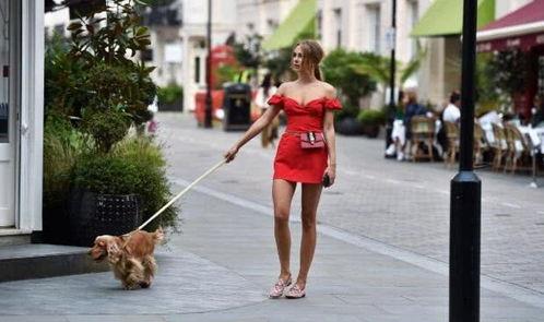 明星网红遛狗是谁,宠物日常与人气明星的温馨互动