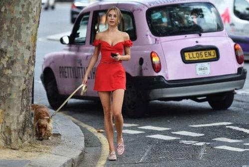 明星网红遛狗是谁,宠物日常与人气明星的温馨互动