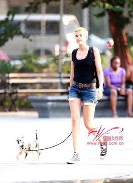 明星网红遛狗是谁,宠物日常与人气明星的温馨互动
