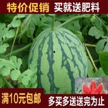 热门瓜往期,盘点往期爆红事件背后的真相与启示