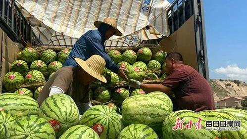 靖远硒砂瓜今日价格多少,价格行情一览”