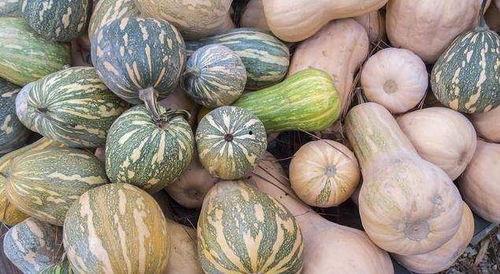 电视上有今日宜吃瓜嘛,宜吃瓜还是关注时事？