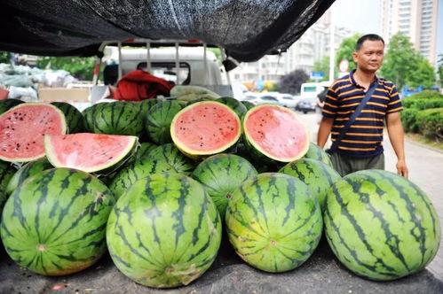 最近热门今日吃瓜,揭秘娱乐圈最新热点事件