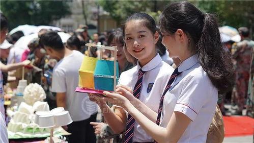 明星网红在学校上学,跨界学霸的青春碰撞与成长故事”