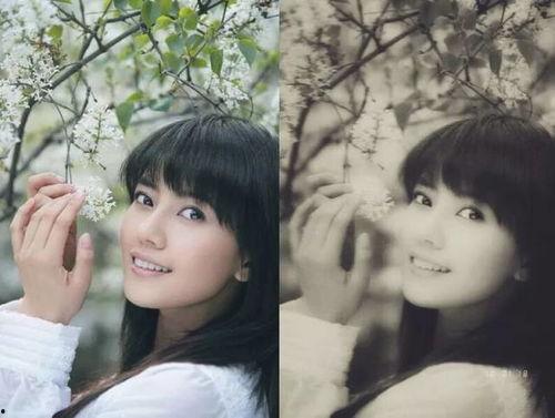 我们有明星网红吗,揭秘我国明星网红的崛起之路