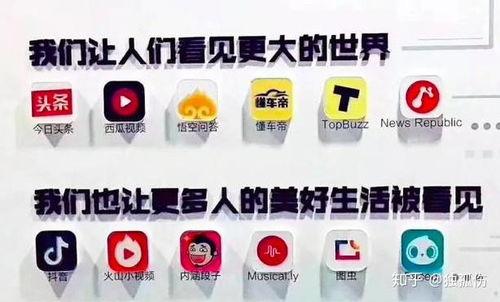 仲尼是什么瓜今日头条,揭秘今日头条上的神秘瓜种