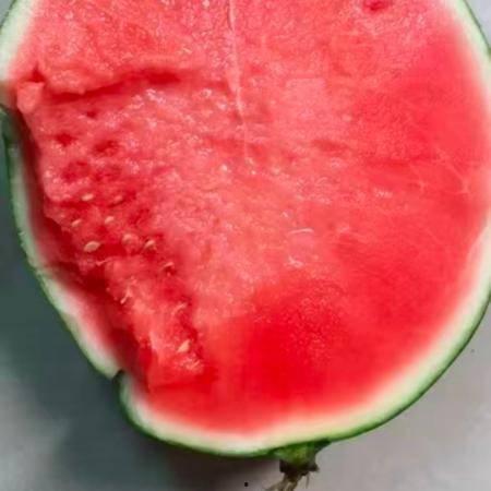 8424麒麟无籽瓜今日价格,价格行情一览