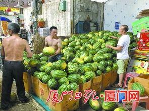 什么平台有热门大瓜,热门大瓜背后的秘密与趋势