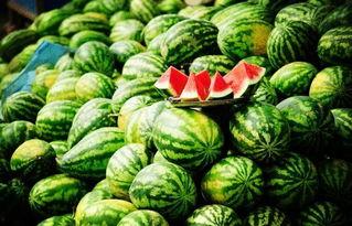 元谋今日三叶瓜行情,今日市场动态一览