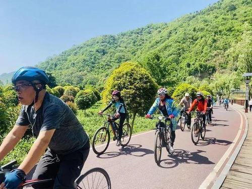 今日份瓜来了使用的特效