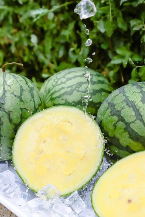 51黑料吃瓜网永久官网,永久官网背后的真相与争议