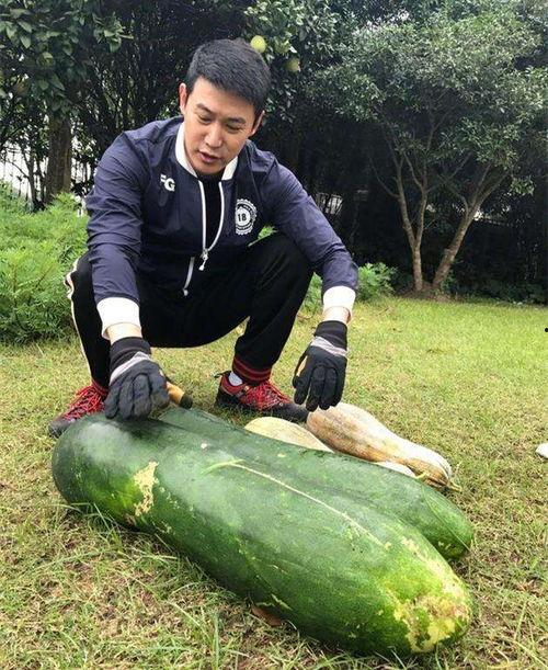 一栗莎子的吃瓜爆料是真的吗,真相揭秘还是无稽之谈？