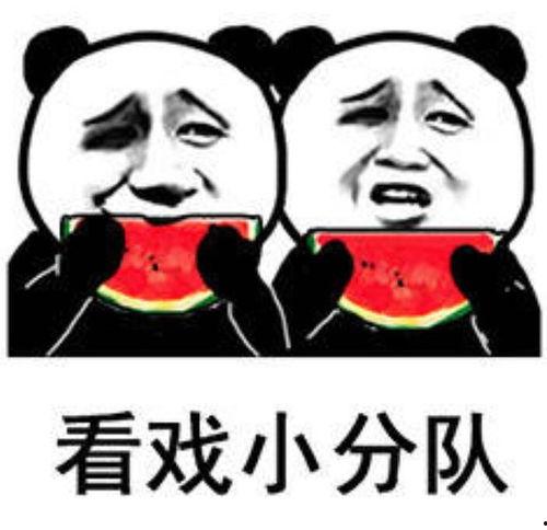 今日晴宜吃瓜壁纸动态,今日宜吃瓜壁纸动态，尽享夏日清凉时光