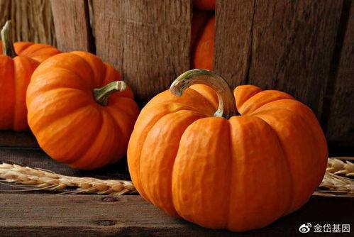 今日晴宜吃瓜壁纸动态,今日宜吃瓜壁纸动态，尽享夏日清凉时光