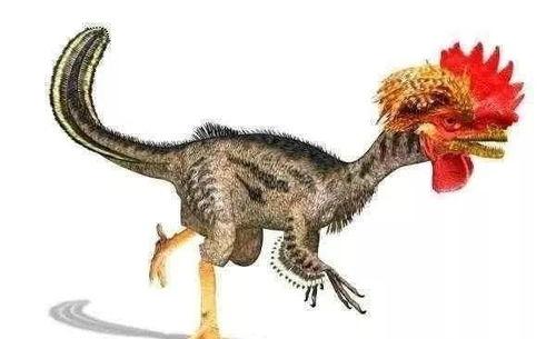 吃瓜霸王龙五黑